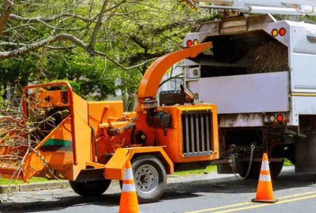 tree removal spokane