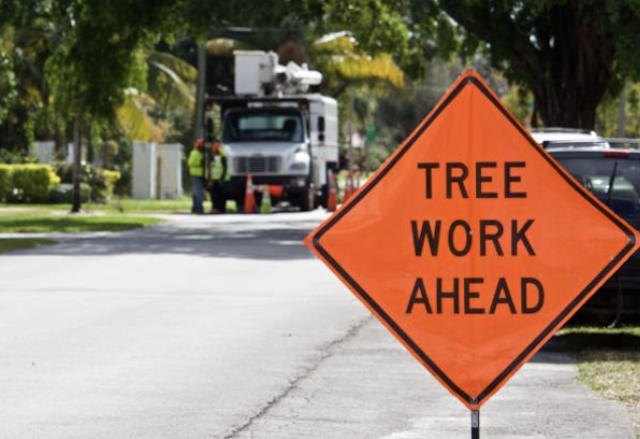 emergency tree removal spokane