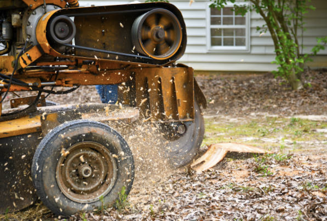 stump grinding spokane wa